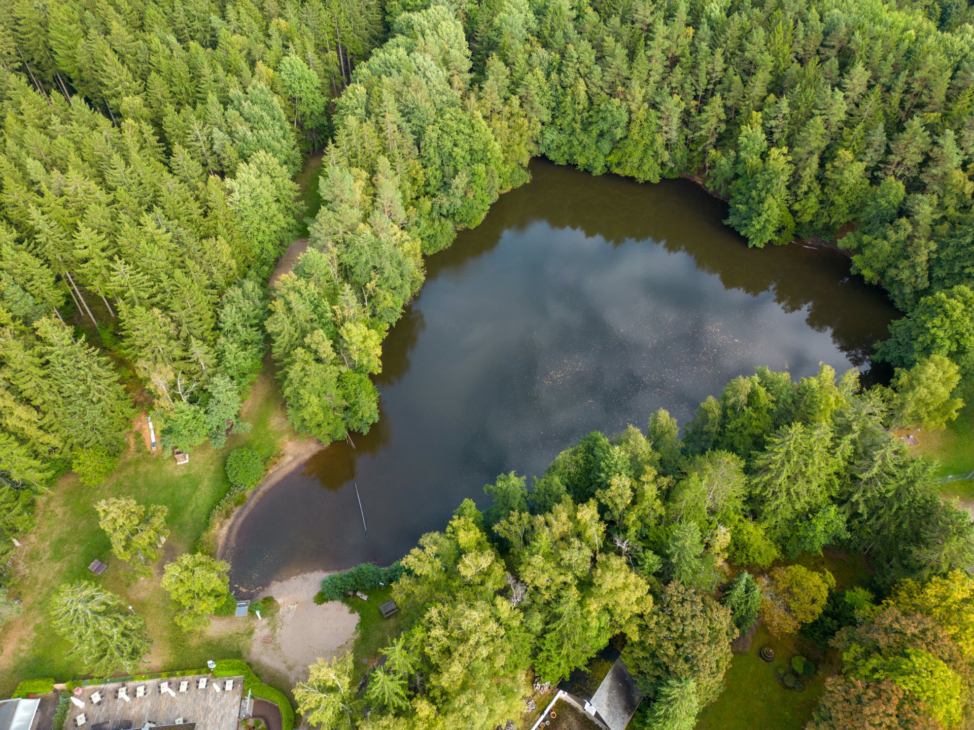 Drohnenansicht vom Waldsee Argenthal mit Bäumen ringsherum