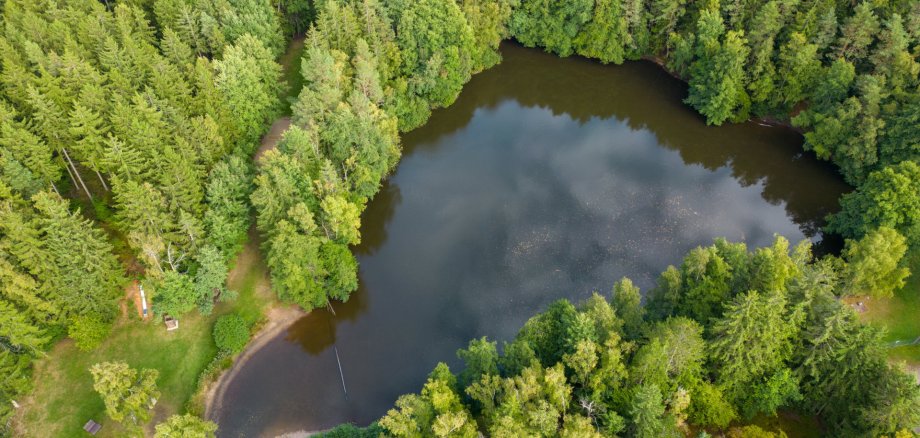 Drohnenansicht vom Waldsee Argenthal mit Bäumen ringsherum