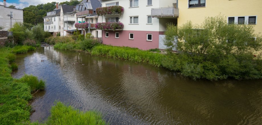 Simmerbach mit Enten und Häuserfront im Hintergrund