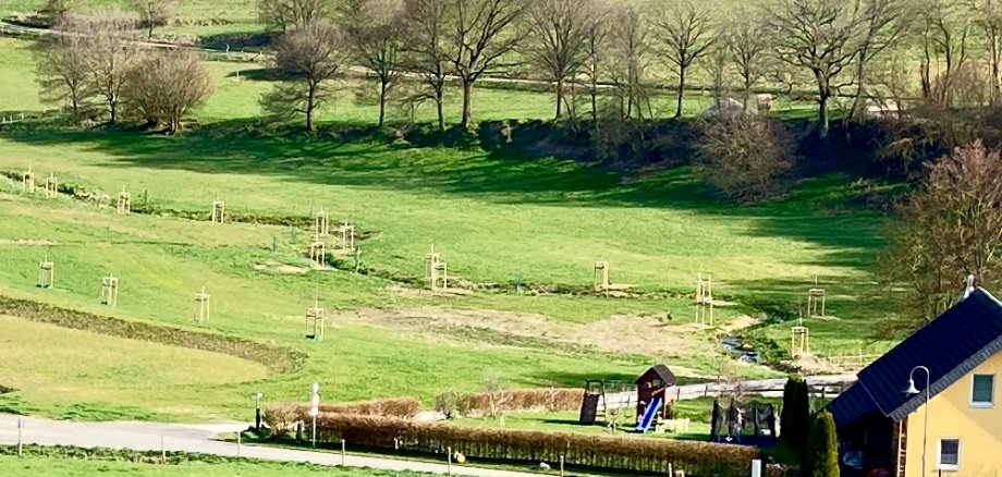 Renaturierter Kondbach in der Ortsgemeinde Kümbdchen