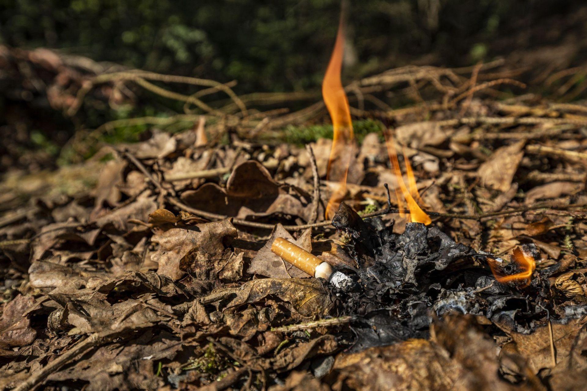 Eine brennende Zigarette liegt im Wald und setzt das Laub in Flammen