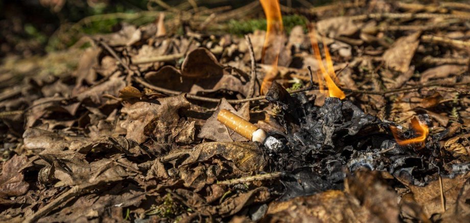 Eine brennende Zigarette liegt im Wald und setzt das Laub in Flammen
