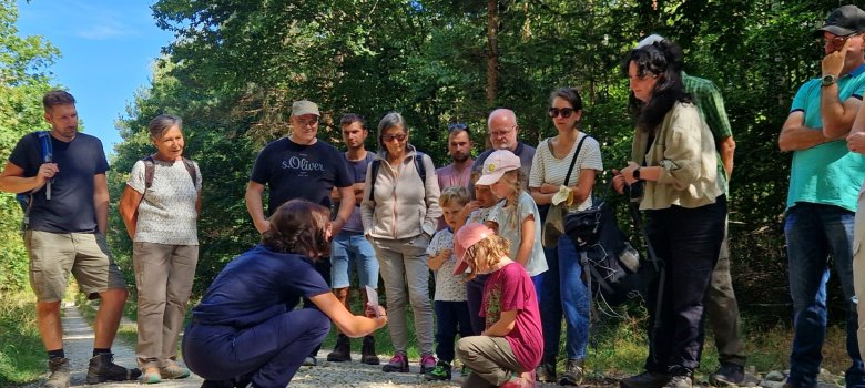 Mehrere Personen stehen im Wald und informieren sich über das Thema "Wasserrückhalt im Wald"