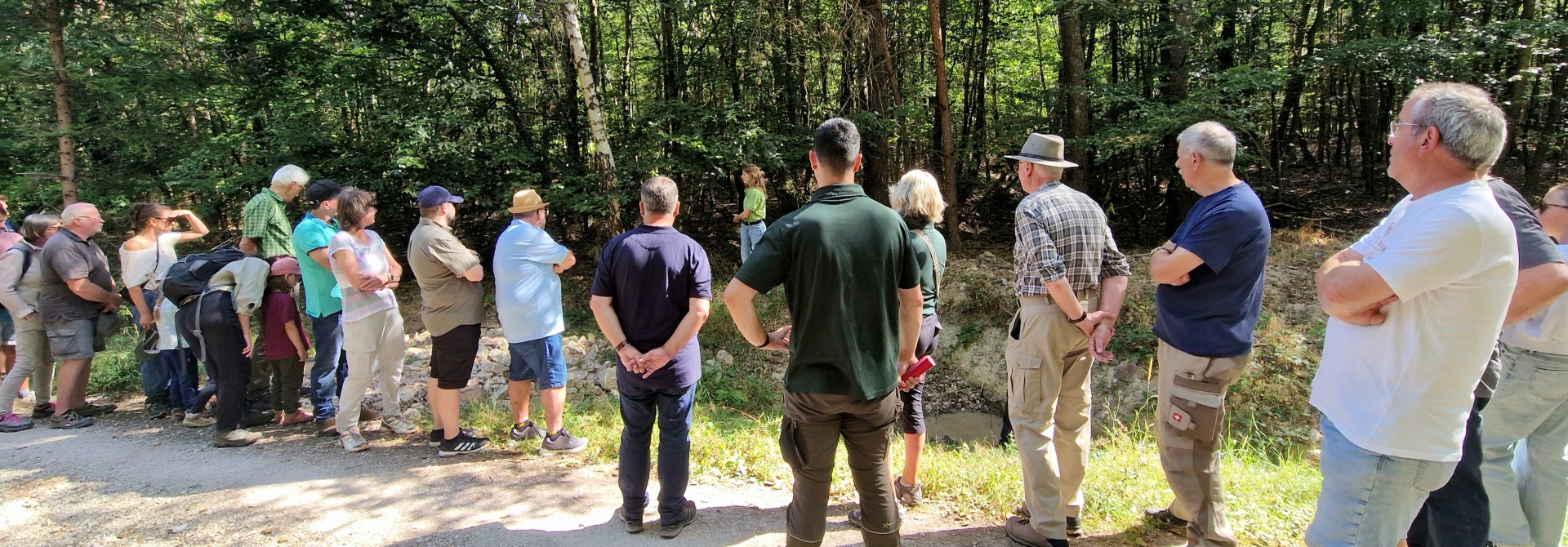 Mehrere Personen stehen im Wald und informieren sich über das Thema "Wasserrückhalt im Wald"