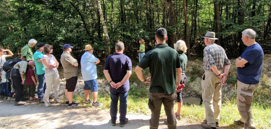 Mehrere Personen stehen im Wald und informieren sich über das Thema "Wasserrückhalt im Wald"