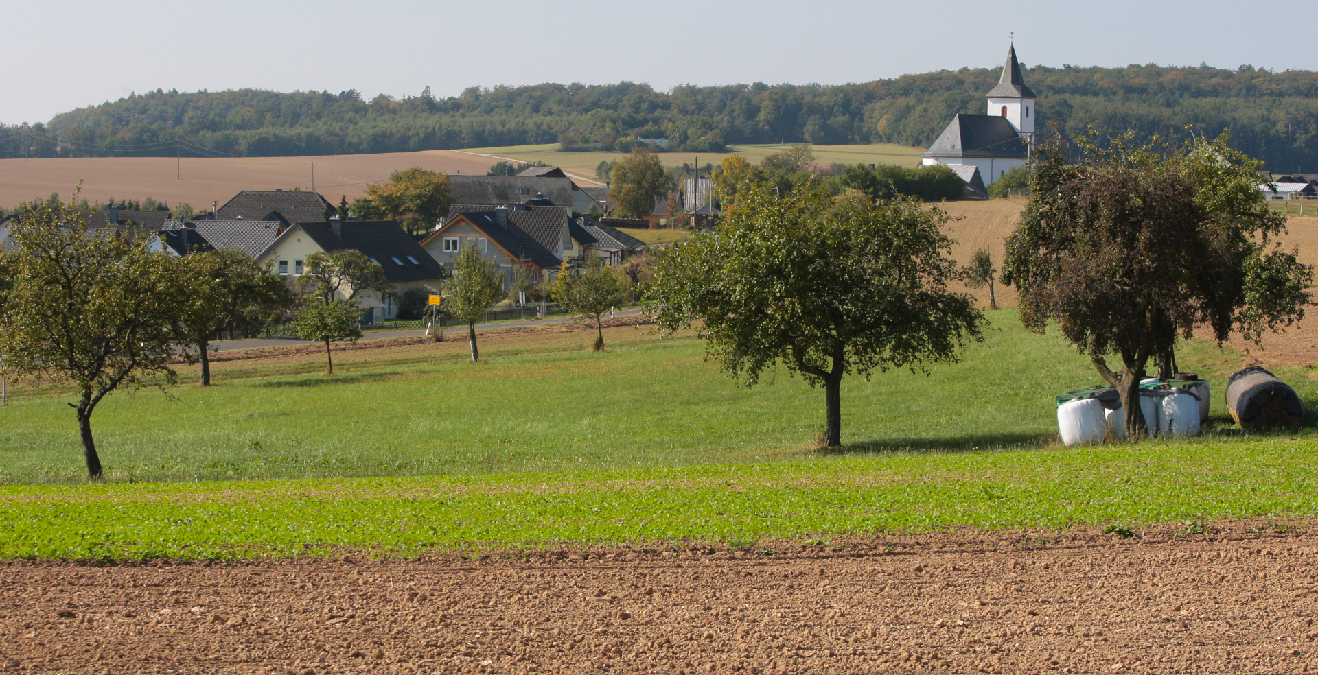 Blick auf die Häuser von Horn, im Vordergrund Obstbaumwiese bei schönem Wetter
