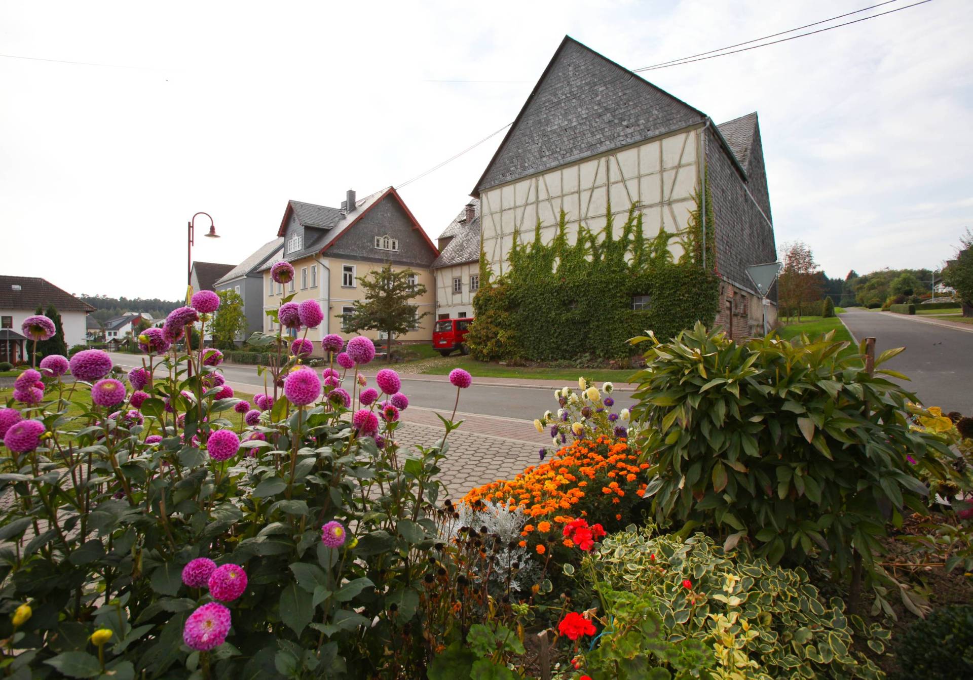 Blumen im Vordergrund, Straße und Wohnhäuser von Oppertshausen im Hintergrund