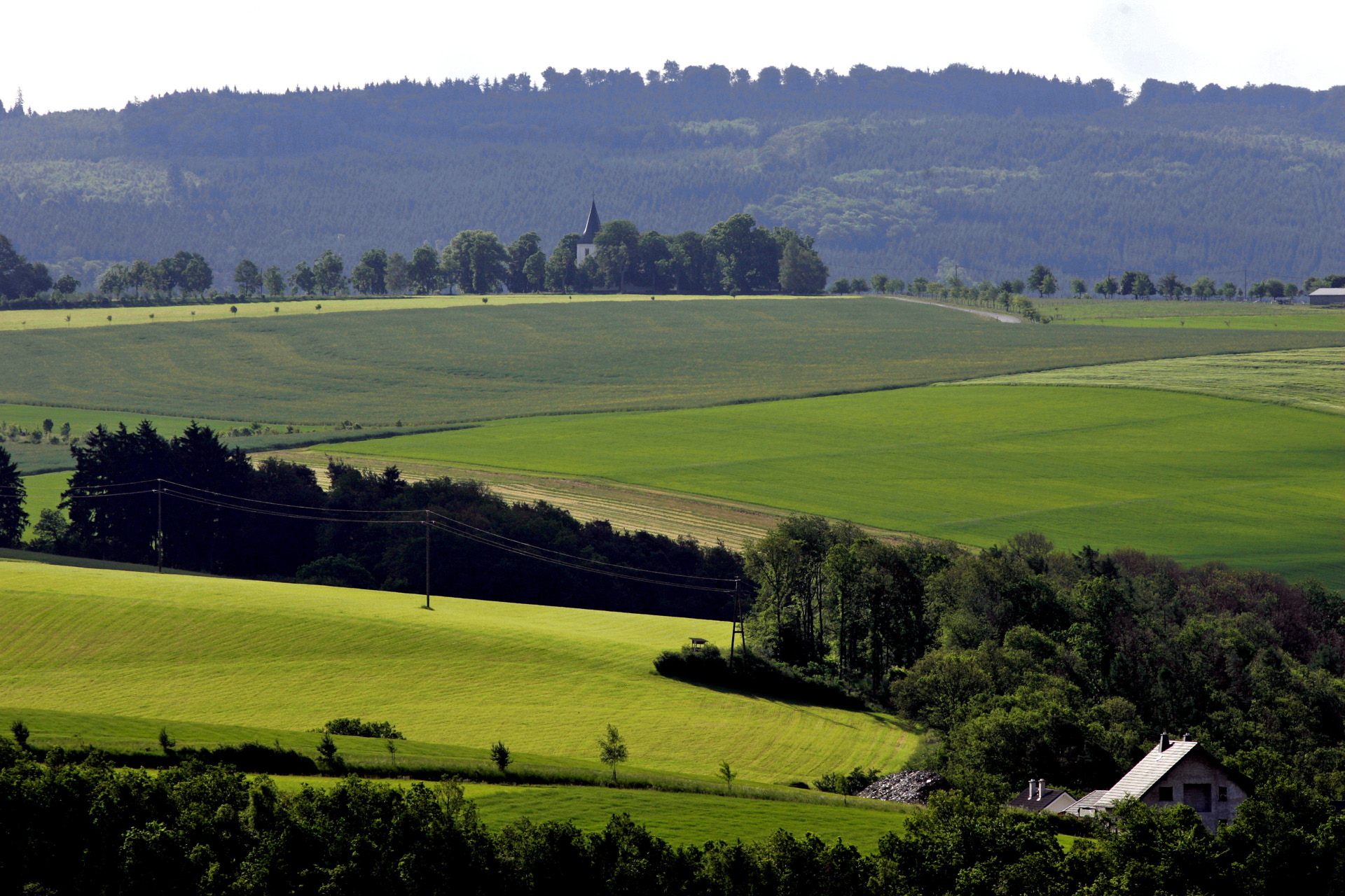 Landschaftsfoto mit Wiesen, Feldern und Wald in der Verbandsgemeinde Simmern-Rheinböllen im Hunsrück.