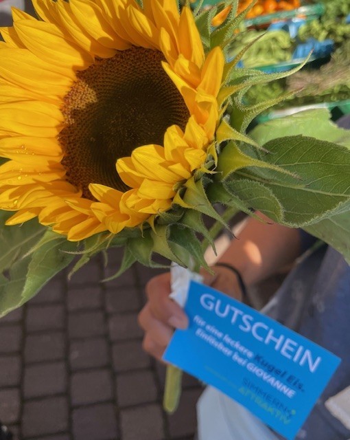 Sonnenblume