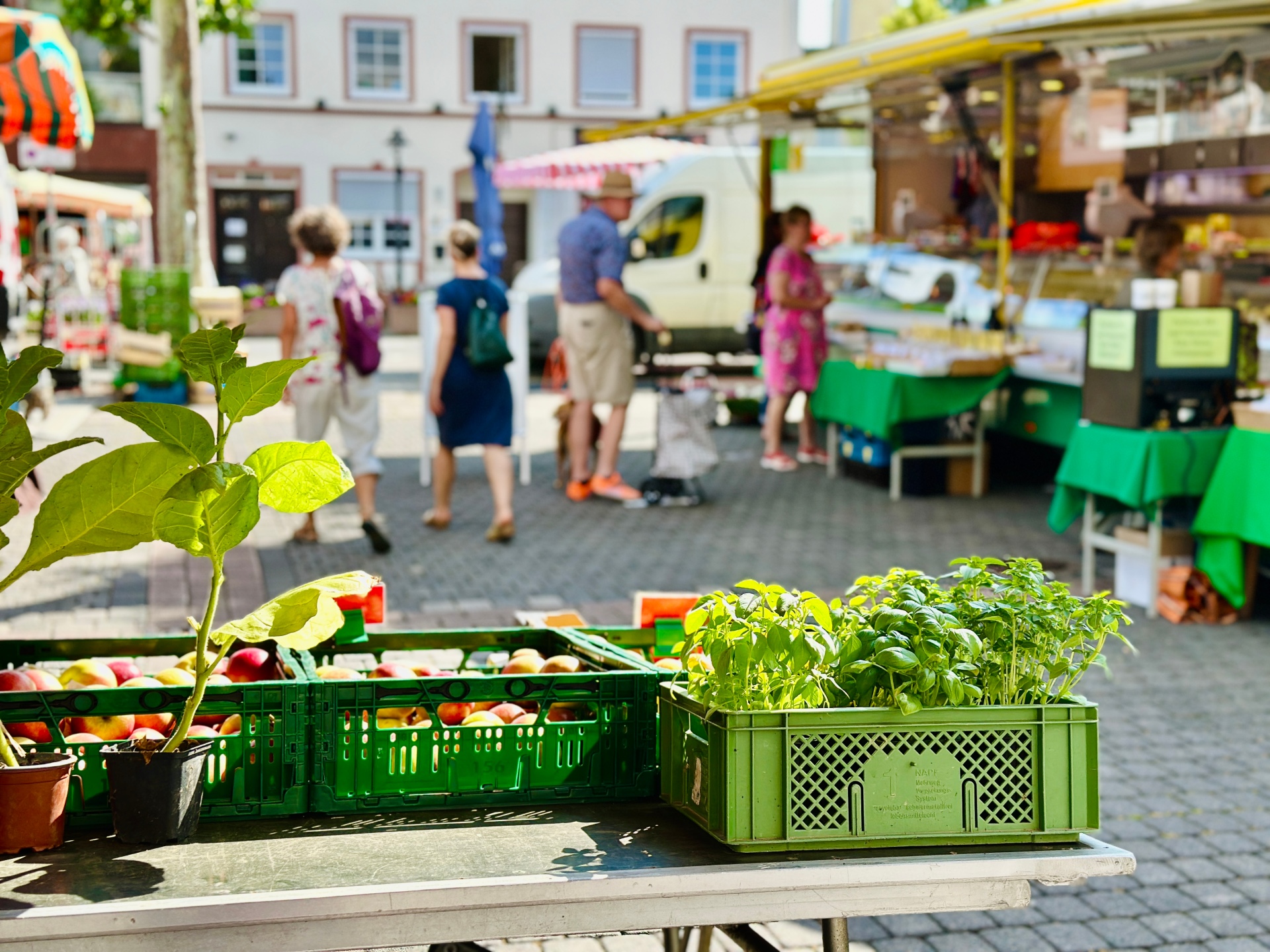 Wochenmarkt in Simmern. Im vorderen Teil sieht man Äpfel und Basilikum, weiter hinten stehen Personen und kaufen an einem Stand ein.