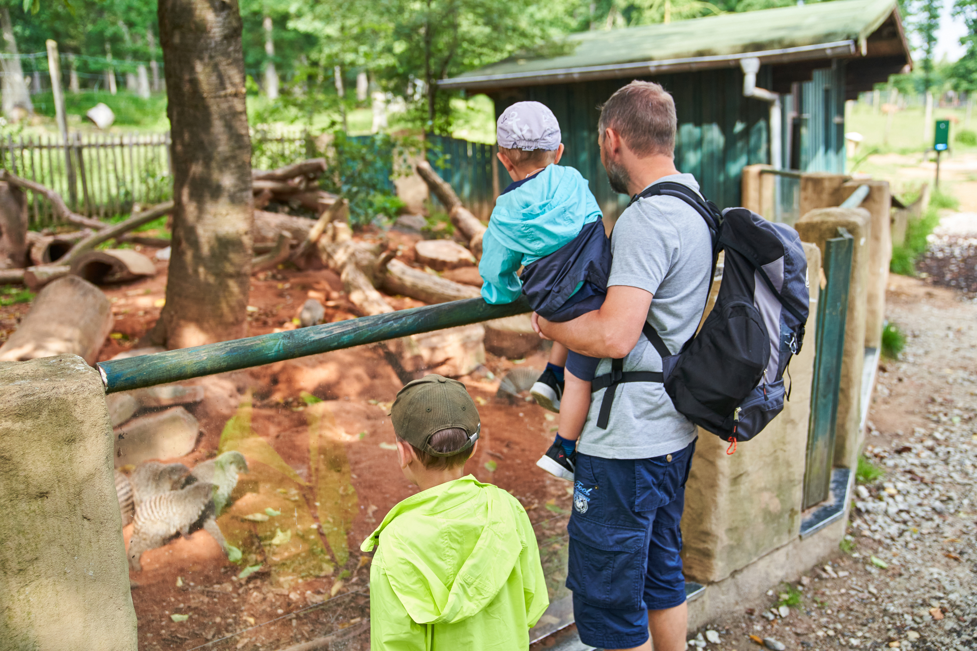 Vater steht mit seinen beiden Söhnen im Tierpark und beobachtet Tiere