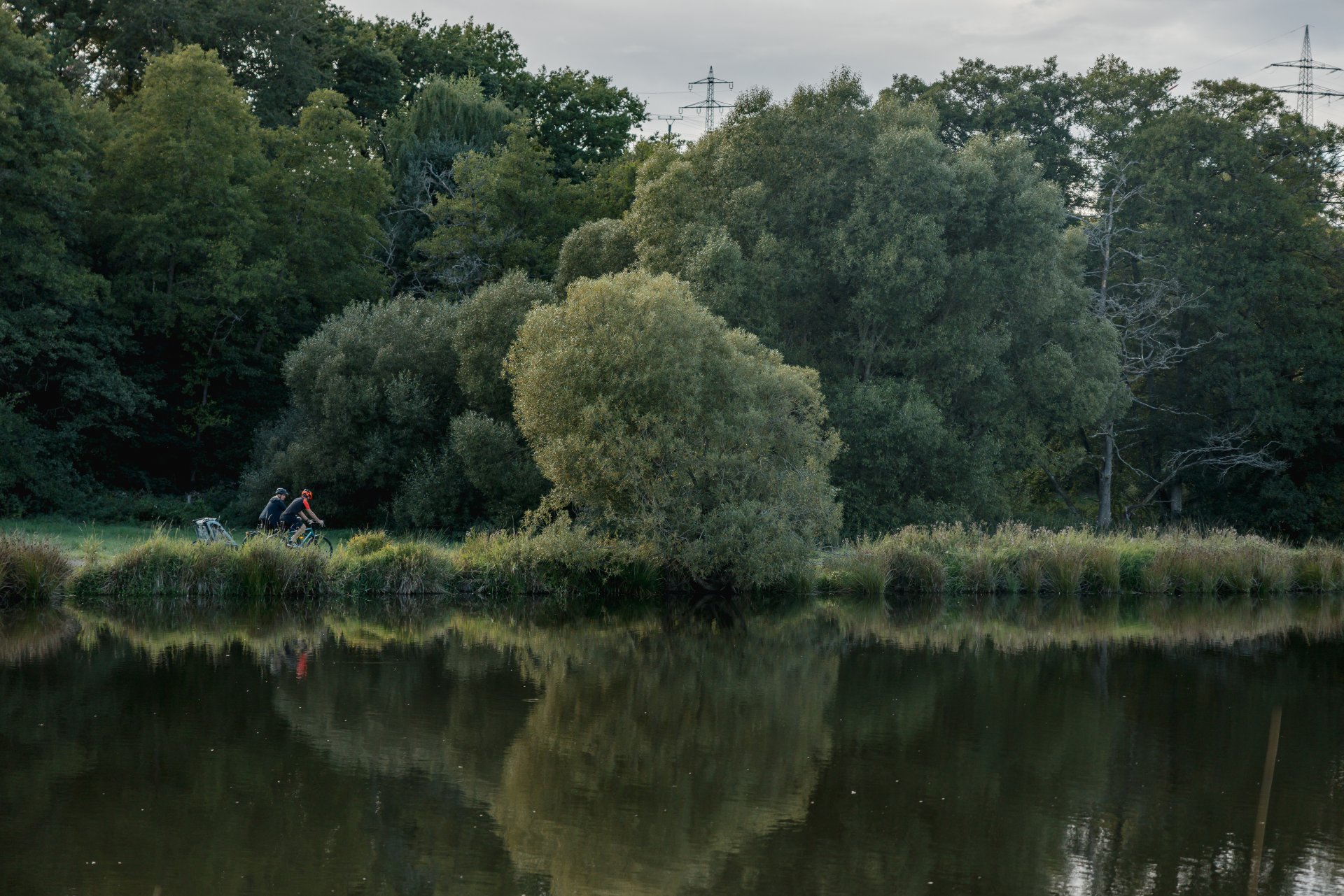Landschaft am See mit Wiesen und Bäumen