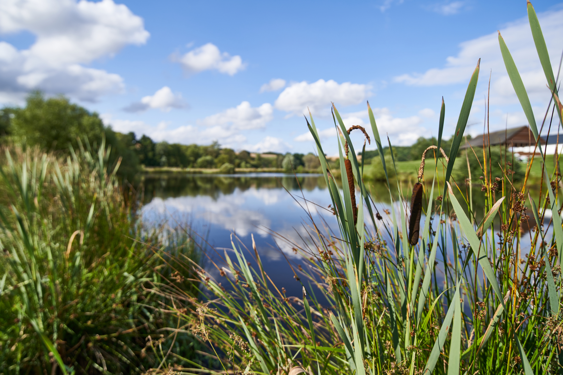 Simmersee und seine Landschaft