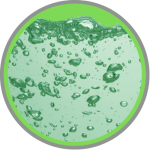 Wasserampel Die grüne Phase der Wasserampel