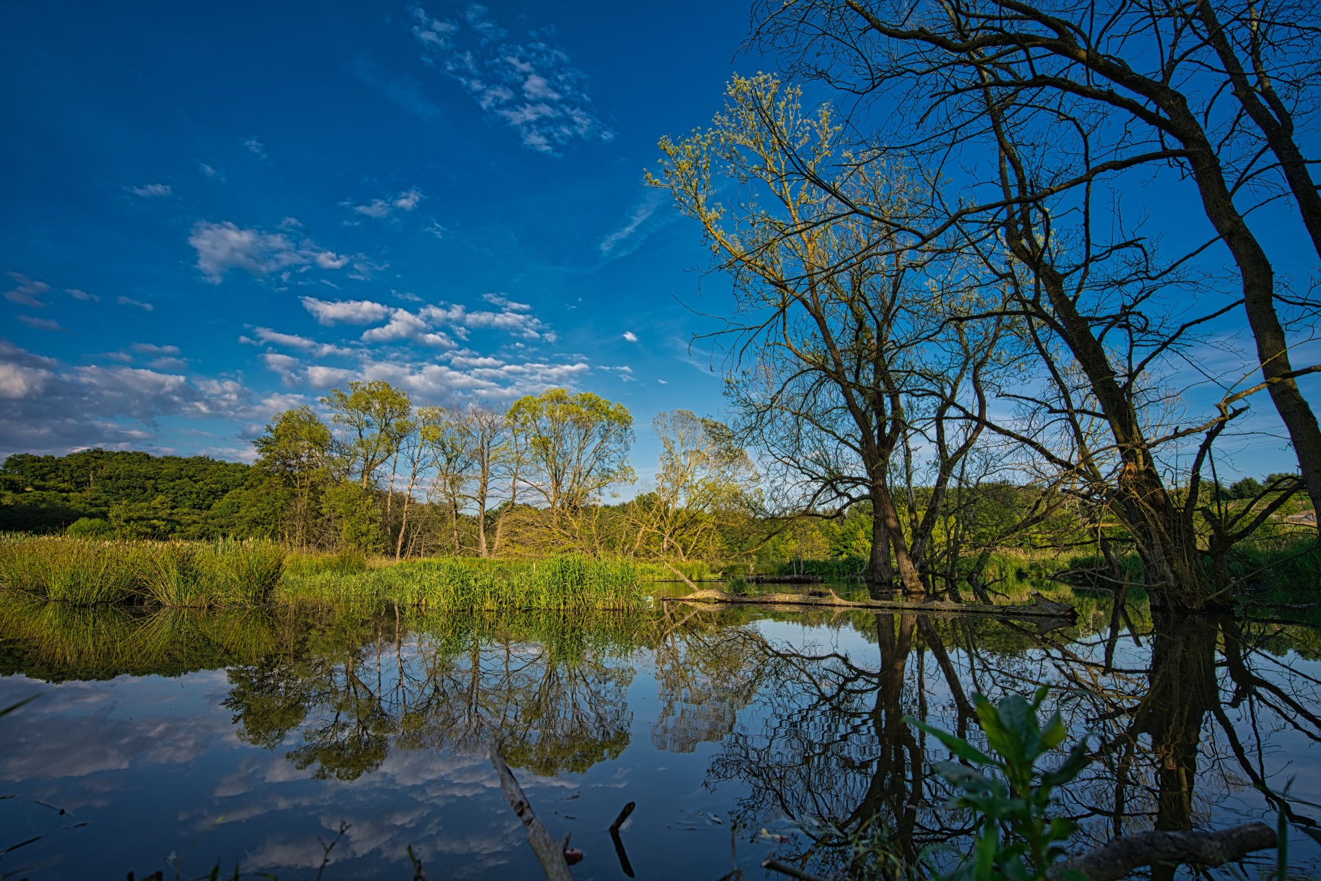 See inmitten der Natur, umgeben von Bäumen