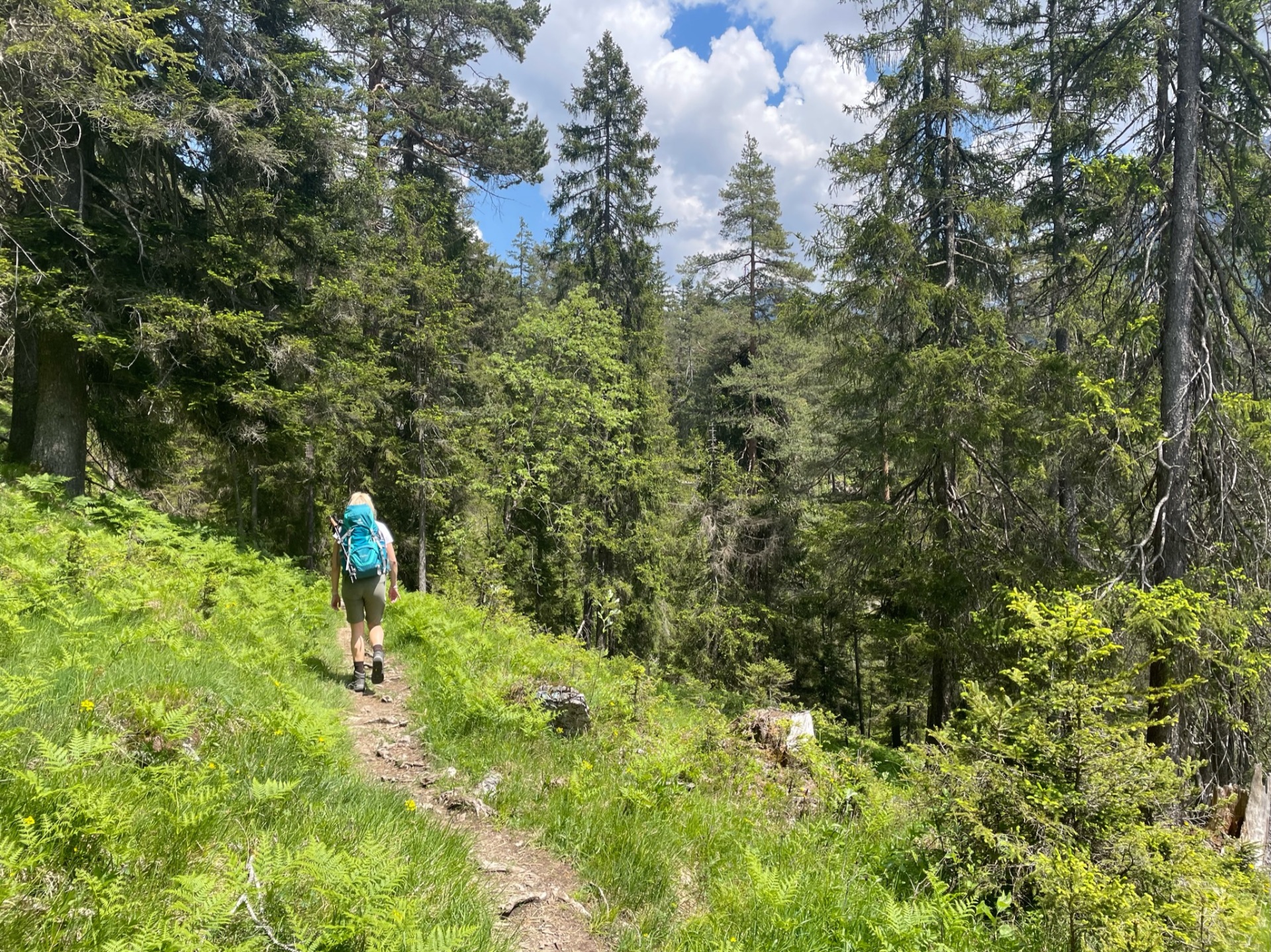 Eine Person wandert mit ihrem Rucskack durch den Wald