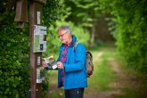 Ein Wanderer steht im Wald und geht eine Traumschleife. Er stoppt bei einer Anzeigentafel und studiert das Prospekt des Weges.