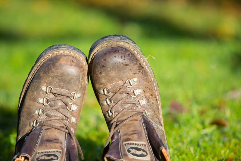 Wanderschuhe auf einer Wiese