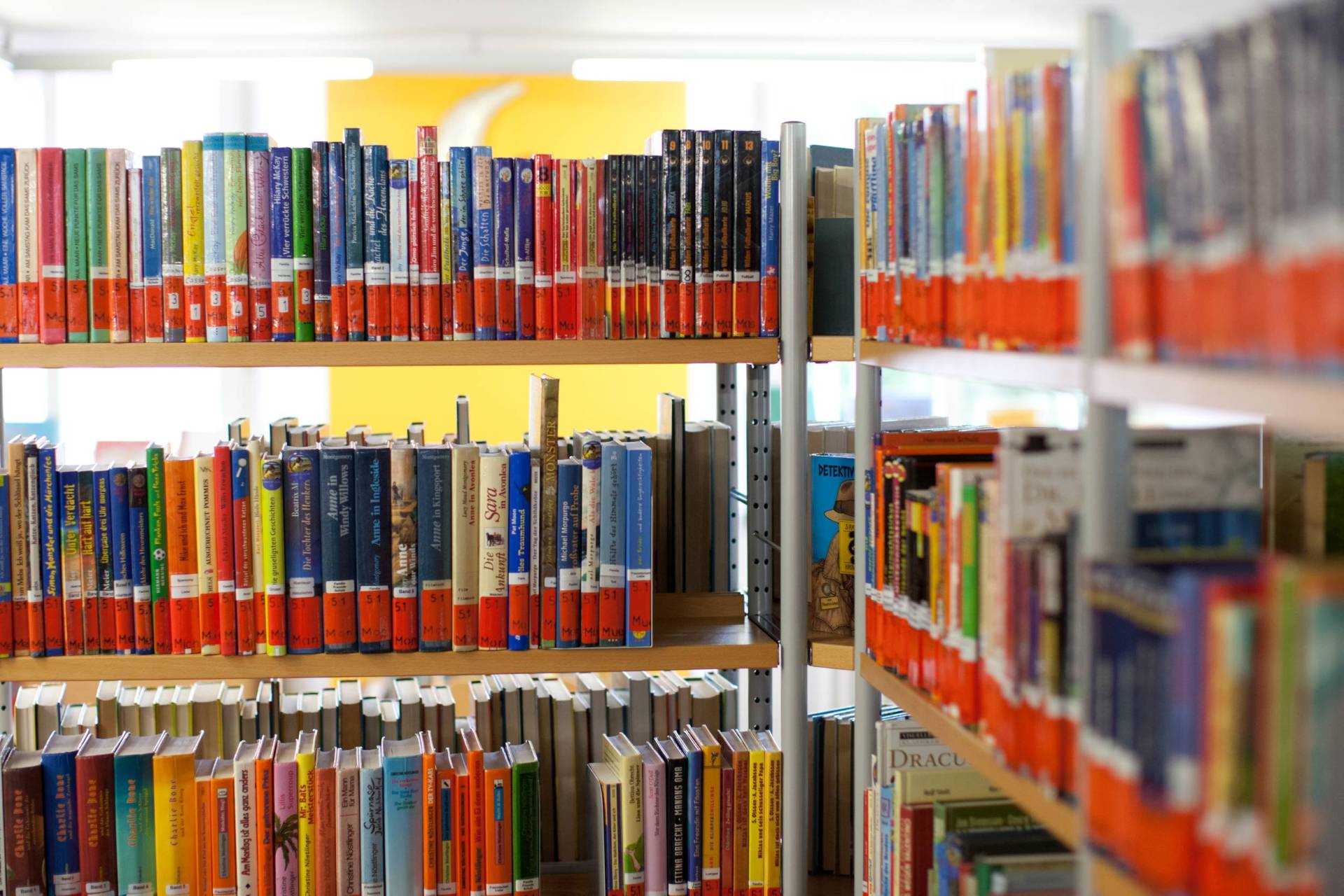 Bücher der Bücherei stehen in einer Reihe in einem Regal