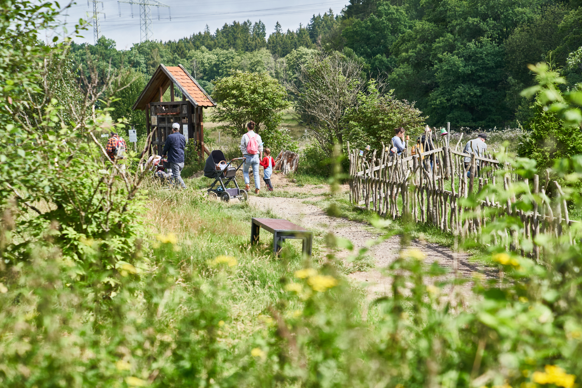 Verschiedene Personengruppen gehen auf einem schmalen Naturweg durch eine grüne Landschaft im Tierpark Rheinböllen