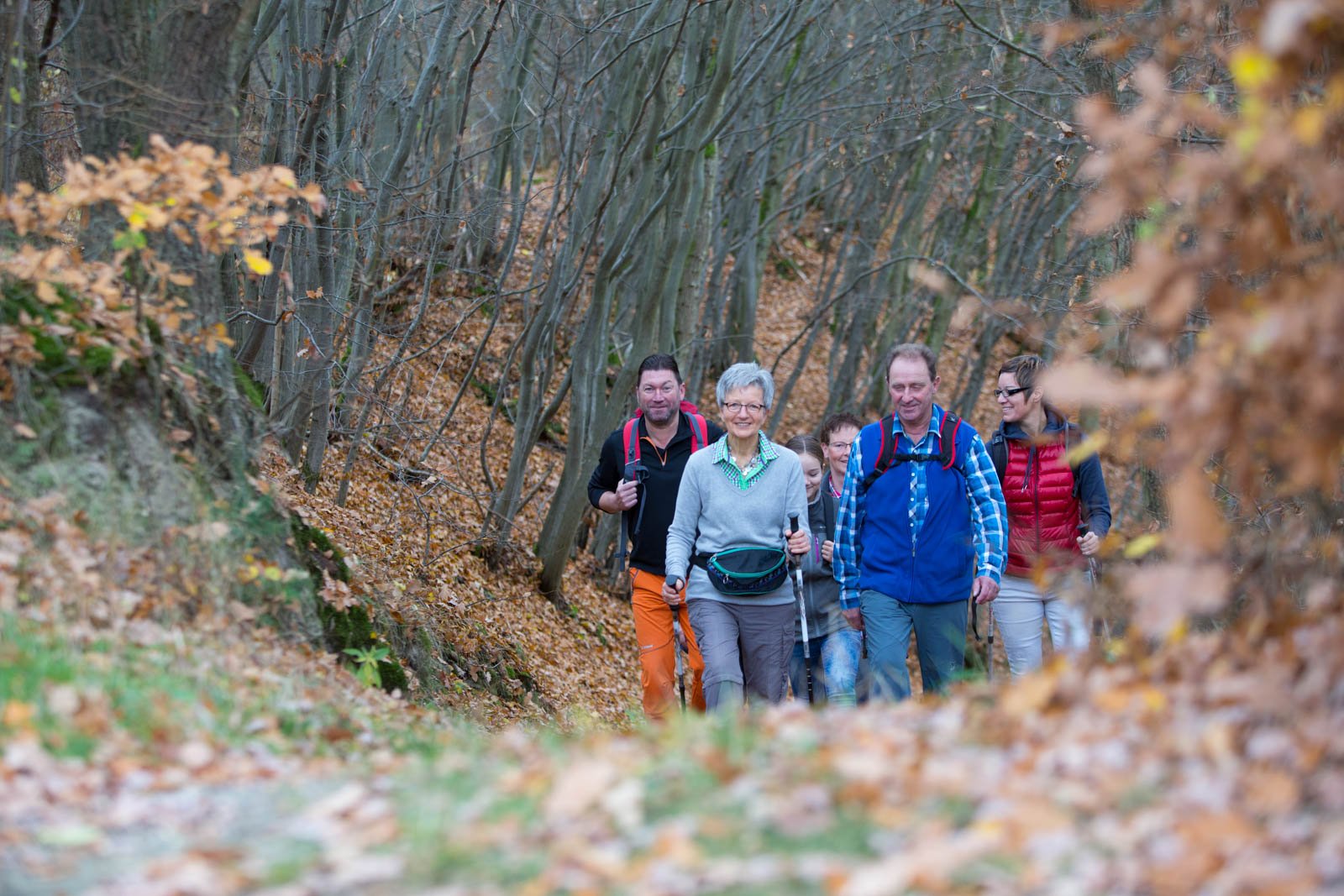 Eine Gruppe von Personen wandert durch den Wald im Hunsrück