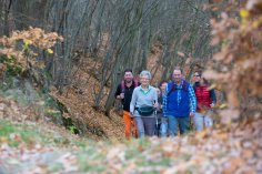 Eine Gruppe von Personen wandert durch den Wald im Hunsrück