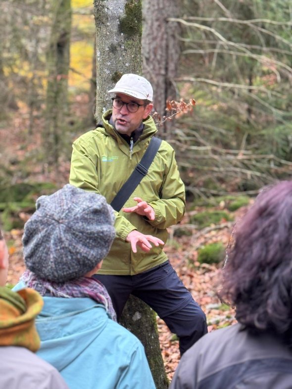 Ein Gästeführer steht mit Personen im Wald bei einer Führung