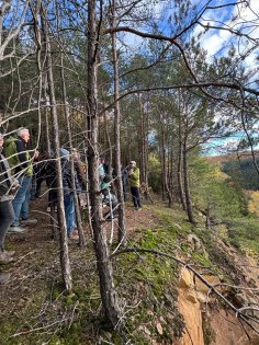 Wanderung von Personen im Wald