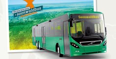Logo des Soonwaldbusses
