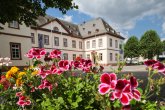 Im Vordergrund befinden sich Blumen, im Hintergrund ist das Neue Schloss in Simmern zu sehen