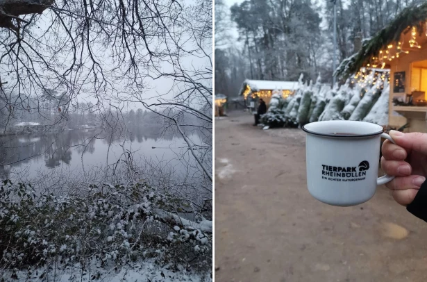 Winterliche Szene im Tierpark Rheinböllen mit schneebedeckter Landschaft am See und weihnachtlich geschmückten Außenbereichen; im Vordergrund eine Hand mit einer Tierpark-Tasse mit Heißgetränk.
