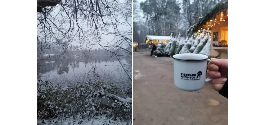 Winterliche Szene im Tierpark Rheinböllen mit schneebedeckter Landschaft am See und weihnachtlich geschmückten Außenbereichen; im Vordergrund eine Hand mit einer Tierpark-Tasse mit Heißgetränk.